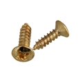 thumbnail image 3 of 100X Vis de Guitare pour Plaques de Scratch Pickguard, Or, 3 of 6