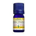 thumbnail image 2 of DIVINE ESSENCE Romarin - Type Verbénone (Biologique - 5 ml), 2 of 3