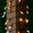 thumbnail image 3 of Novelty Lights 24FT 70 LED C6 Christmas String Lights, Orange & Pure White, 3 of 8