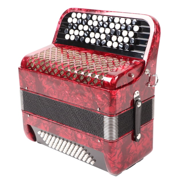 Kids Accordion Instrument, Clear Dynamic Sound 62 Keys Accordion With Straps For Home School Practice