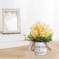 thumbnail image 4 of Aodebiao Small Fake Flowers Plants Mini Artificial Potted Plants for Table Desk Home Bathroom Office Decor, 4 of 6
