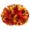 Q, variant on Cheerleading Handheld Colorful Flower Event Sports Performance Activities Cheering Supplies Lightweight Handle Design Anti Slip Off