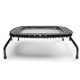 thumbnail image 3 of Sunny Health & Fitness Springless Mini Fitness Trampoline – Premium Adjustable Bungee-Style Indoor/Outdoor Exercise Rebounder for Quieter and Safer Workouts, 3 of 6