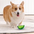 thumbnail image 5 of UsRHHA Pet Chew ToysMolars Teething Fruit, Freezable Dog Chew Toysfor Puppies, Pet Dental Care Toy, 5 of 5