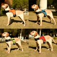 thumbnail image 1 of [Big Clear!]New K-shaped Luminous LED Harness For Pet Dog Chest Harness For Medium And Large Dogs Night Travel, 1 of 9