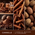 thumbnail image 3 of ScentSationals Scented Wax Cubes - Cinnamon, 3 of 5