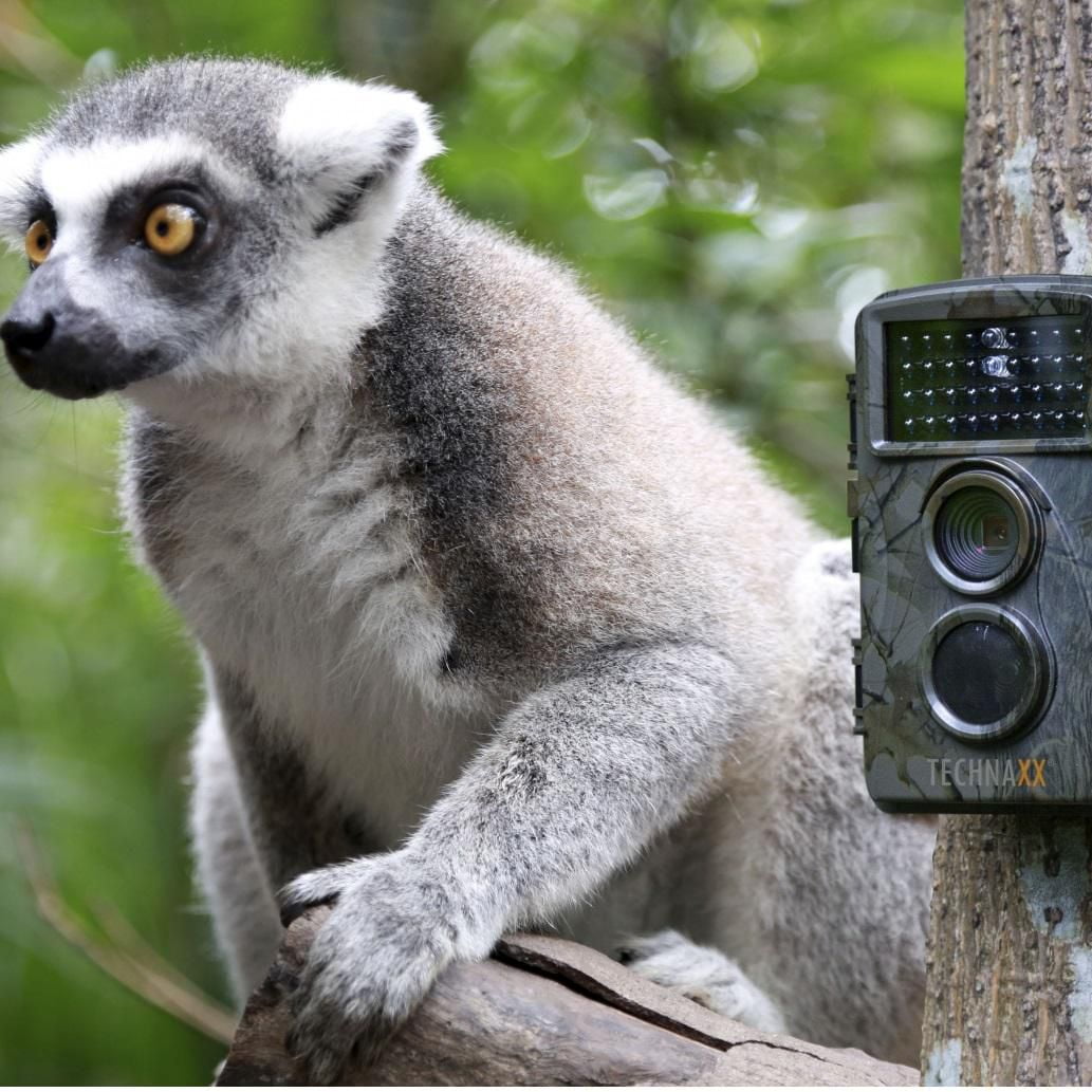Technaxx TX-69 Nature Wild Cam Battery Operated Wildlife and Home Monitoring Camera - Green