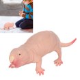 thumbnail image 4 of Plastic Mole Model, Lifelike Interesting Safe Plastic Mole Figurine Widely Use  For Collection For Office Decoration For Children, 4 of 8
