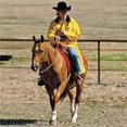 thumbnail image 1 of Double S 1213018-M Selle Slicker&44; Jaune - Moyen, 1 of 4