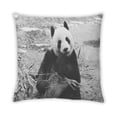 thumbnail image 2 of Ahgly Company Animals Bear Coussin Décoratif d'Extérieur, 18 Po X 18 Po, 2 of 6