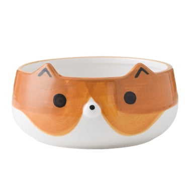 MasteelfCA 1 Pce Bol à Salade Dessin Animé Adorable Bol à Déjeuner en Céramique Pratique Fournitures de Cuisine