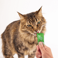 thumbnail image 4 of Feline Greenies™ Smart Purees™ Chicken Lickable Cat Treats, 4 x 14g, 4 of 7