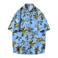 thumbnail image 1 of Shirts for Men Mens Casual Slim Solid Color Button Lapel Short Sleeve Shirt, 1 of 8