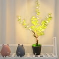 thumbnail image 4 of LED Christmas Tree Lights with USB Power – Warm White Twig Simulation Plant Night Light, 30-Bead, IP44 Rated, 4.5 V, 45 cm Tall, 4 of 7