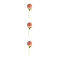 thumbnail image 1 of Baohd 1/2/3/5 10pack/lot Realistic Appearance Artificial Flower For Party Decor And Home Decor Light Coffee 3PCS, 1 of 6