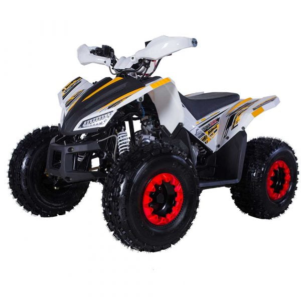 Tao Motor The Rex VTT Automatique 125 Cc (Assemblage Requis), Blanc