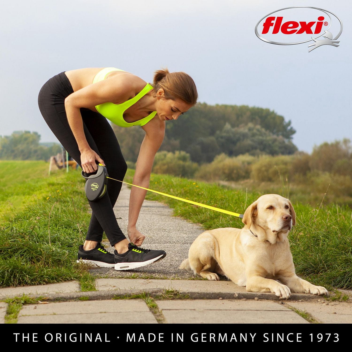 Flexi Giant Grand 8m Laisse à Ruban Rétractable pour Chien