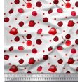 thumbnail image 1 of Soimoi Viscose Chiffon Fabric Raspberry,Strawberry & Cherry Fruits Fabric Prints by Yard 42 Inch Wide, 1 of 3