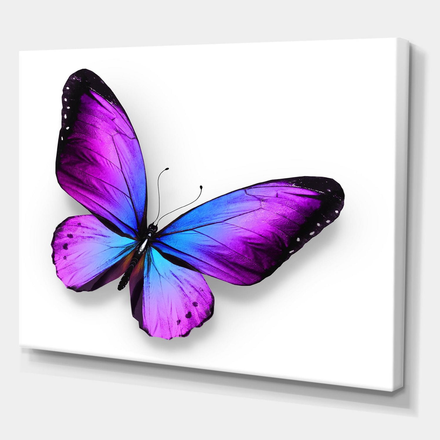Designart Papillon violet et bleu Art mural sur toile