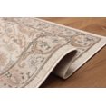thumbnail image 3 of ECARPET Tuscany Traditional Runner Rug for Living Room, Bedroom, Dining Room, Entrance, Hallway and More., 3 of 9
