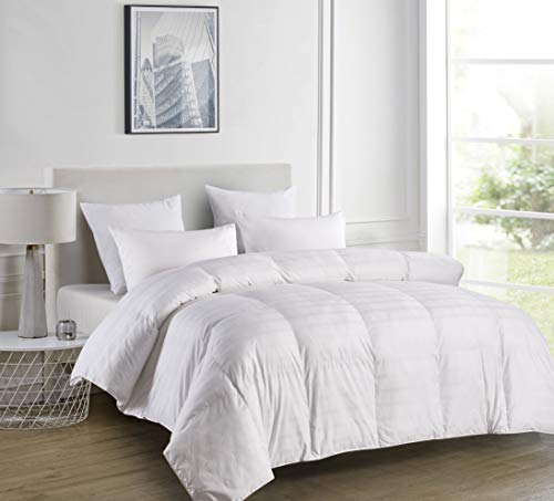 Blue Ridge Home Fashions 600 Thread Count Windowpane Duraloft Down Alternative Comforter, Twin, White