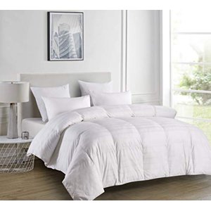 Blue Ridge Home Fashions 600 Thread Count Windowpane Duraloft Down Alternative Comforter, Twin, White