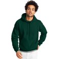thumbnail image 1 of Hanes Mens EcoSmart Fleece Hoodie, 3XL, Deep Forest, 1 of 5