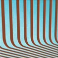 thumbnail image 1 of Ahgly Company Machine Washable Indoor Square Transitional Sienna Brown Area Rugs, 4' Square, 1 of 7