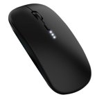 TopLLC Souris sans fil de recharge Bluetooth Mute Mode Portable 2.4G+BT5.2 Souris Sans fil lors de l'enlèvement