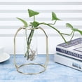thumbnail image 4 of Hydroponics Plant Flower Pot, Glass+Metal Hydroponic Plant Vases, Durability Gold Wedding Office For Home Gold, 4 of 8