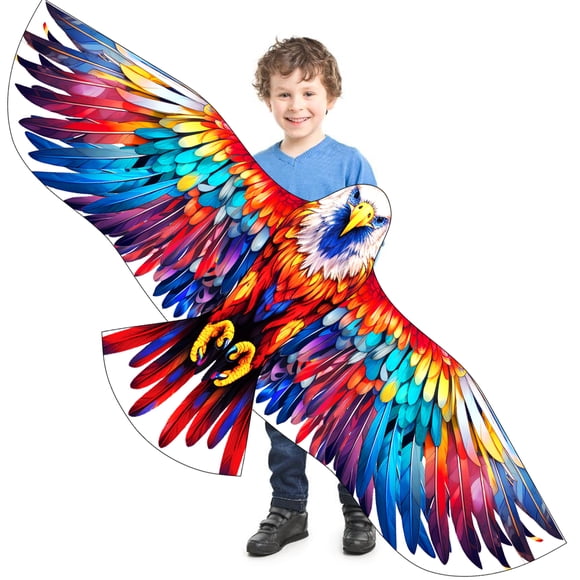 HENGDA KITE 63in*27in Colorful Eagle Kite for Boy and Teen Outdoor Toy with Flying Tools Easy Control