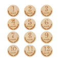 thumbnail image 3 of HILABEE 12 Pieces Baby Milestone Cards Wooden Monthly Cards Newborn Photo Props Engraved StyleC, 3 of 9