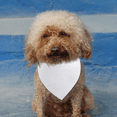 thumbnail image 4 of Dog Bandanas Washable Cotton Triangle Dog Scarfs Reversible Cotton Scarf for Small Medium Large Pets, 4 of 5