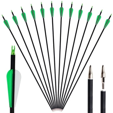 Runzkzy Flèche 6/12 Pcs Flèche 31,5 Pouces Carbone Mixte Arc de Flèche Arc Composé Tir Chasse Pratique