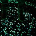 thumbnail image 4 of weibbin 200pc Sparkling Glowing Rocks for Garden Outdoor Glow in The Dark Garden Pebbles Bling Glow Rocks for Landscaping Small Luminous Stone for Fish Tank Patio, 4 of 5