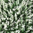 thumbnail image 3 of Bgsha Artificial Mat Grass Lawns Wall Hedge Fence Foliage Panel Home Wedding Decor, 3 of 9