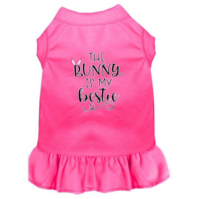 Lapin Est Mon Meilleur Ami Robe pour Chien Écran Rose Vif TTG (18)