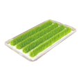 thumbnail image 1 of Static Grass Tuft Model, Railway Artificial Grass, Simulation Diorama Layout Static Grass Tufts for DIY Model, Railroad Scenery, Diorama Scenery Style B, 1 of 8