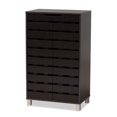 thumbnail image 1 of Baxton Studio Ernest Dark Brown Finished Wood 2-Door Shoe Storage Cabinet, 1 of 10