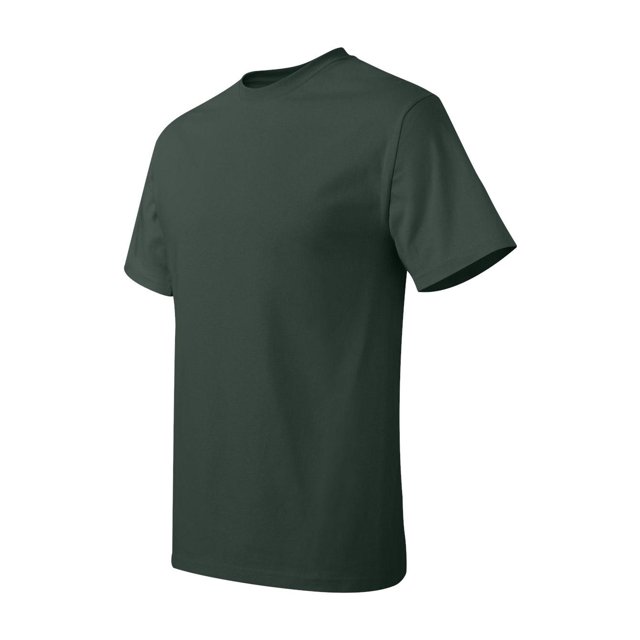 Hanes Men's Authentic-T T-Shirt - 5250T (Pack Of 3)