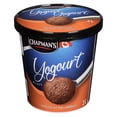 thumbnail image 2 of Chapman's Frozen Yogurt Dutch Chocolate in a Tub, 2L, 2 of 5