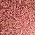 thumbnail image 1 of Ahgly Company Tapis d'Intérieur Lavable en Machine Carré Transitionnel Rouge Cramoisi, 6 Pieds Carré, 1 of 7
