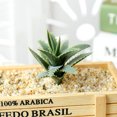 thumbnail image 3 of Coofit Artificial Succulent DIY Realistic Mini Unpotted Succulent Artificial Plant, 3 of 10