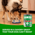 thumbnail image 2 of IAMS Proactive Health Lamb & Rice Adult Wet Dog Food, 2 of 13