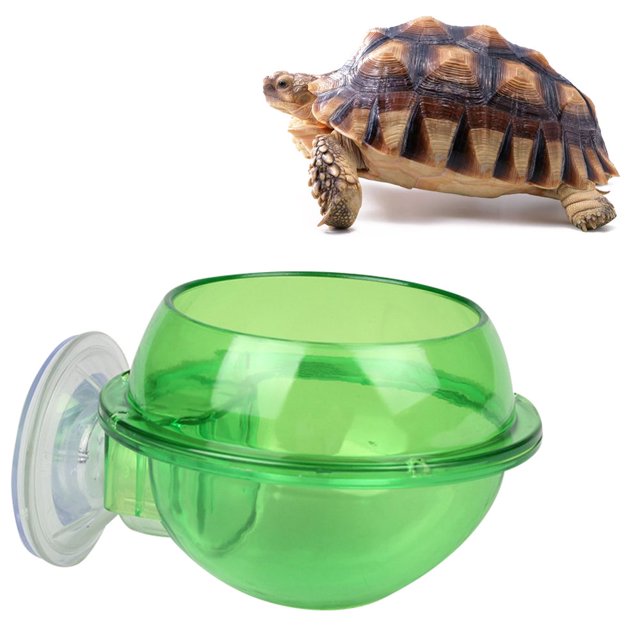 LNGOOR Gecko Terrarium Accessories Reptiles Bearded Dragon for Tank