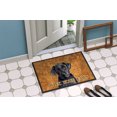 thumbnail image 2 of Carolines Treasures SC9136JMAT 24 x 36 in. Labrador Indoor Or Outdoor Doormat, 2 of 4