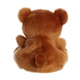 thumbnail image 3 of Aurora - Palm Pals - 5" Artie Bear, 3 of 3