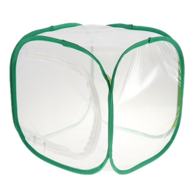 GROWTH TANK Papillon Pliable Habitat Net Terrarium Élevage Cage 30x30x30cm
