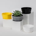 thumbnail image 4 of Large Diameter Modern Planters With Holes Ideal For African And Various Indoor, 4 of 6