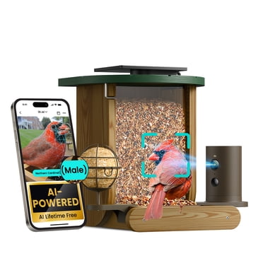 Birdfy Feeder Cedar D - Smart Bird Feeder with Camera, 1080P FHD 60FPS, AI Bird ID, Solar Powered, Suet Ball Holder